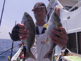201368163840.jpg