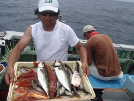 ホウボウに　大アジイサキ等等　極上のターゲットばかりだ