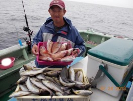 これ全て　釣りまくりましたね　内藤プロフェッショナル