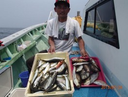 伊良湖沖産　極旨マアジ　美味しさもグレイト