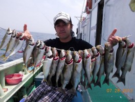 イサキイサキに極マアジで釣りまくりでしたよ