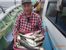 高浜市の名人さん　大アジどっさりだ