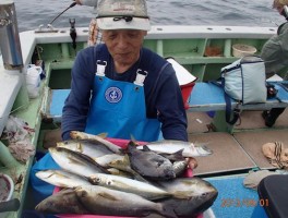 型の良いサイズばかり　大山沖釣行魅力満載