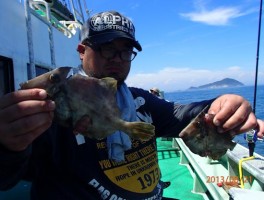 伊良湖沖産のカワハギ釣り魅力満点だ