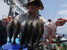 チダイも含めて　OK牧場だ