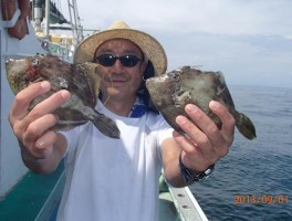 夏カワハギの釣りまくりだ