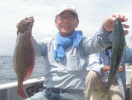 こちら様は標準サイズの高級魚