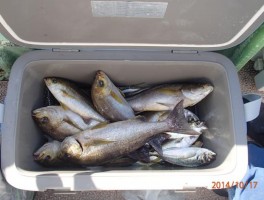 20141017152720.jpg