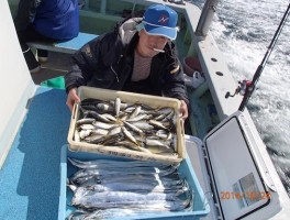 かなりの釣果ですよ　タチウオ＆秋アジ