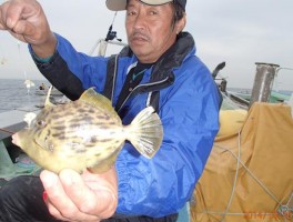 大本命は秋カワハギ