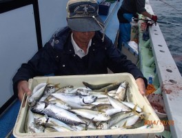 たくさん釣りましたよ