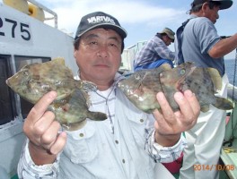 小牧市の何でも名人さんも本日はカワハギ大漁節だ