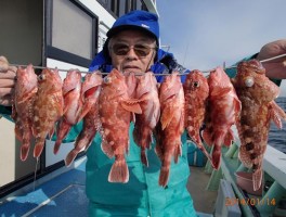 型よく根魚釣りならカサゴだ