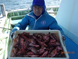 こちら様も　かなりの釣果を確保です