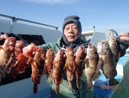 カサゴもでかいよ　真冬の定番爆裂