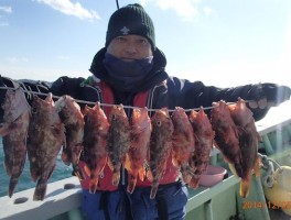 カサゴの串刺しで釣りまくり