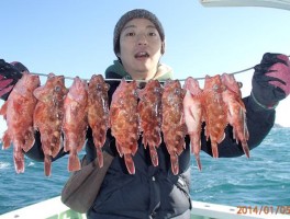 ファイト山盛りでチャレンジですね　たくさん釣りすぎた