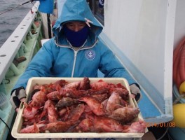 かなりの山盛り釣果確保ですね　