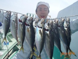 大アジで串刺し釣りまくりで御免