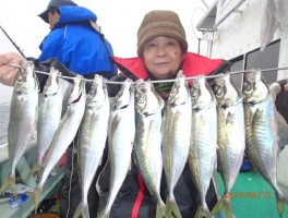 特産の極大アジ　魅力的ですね