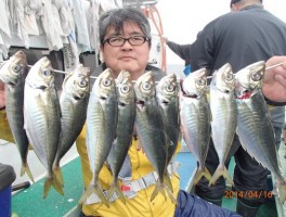 やっぱり大山沖特産の大アジだ