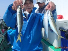 型揃いで最高の極上マアジ