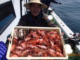 管理の釣果ですね　70匹ほどあるようです