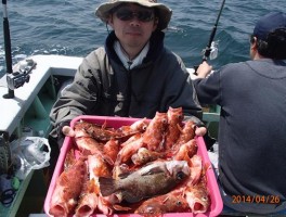 伊良湖沖ではカサゴが爆釣モード