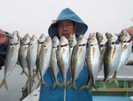 大アジもご覧の通り　釣りまくりましたよ