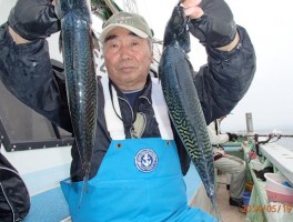 大サバは　完璧に釣りまくり釣れすぎです