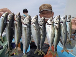 串刺しで大漁だ