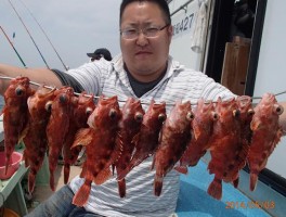 串刺しでカサゴ釣りまくり