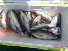 2014615172614.jpg