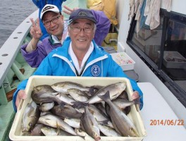 こちら様も日曜日のプロフェッショナルさん