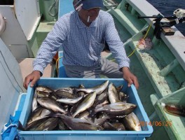 本日のトップ賞さん　釣りまくりましたね