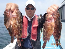 浅場の大カサゴも魅力的ターゲットだ