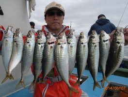 たくさん釣りまくりましたね　アジの爆釣だ