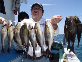 串刺しでイサキ釣り全開だ