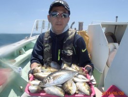 特大大アジも含めて　釣りまくりだ