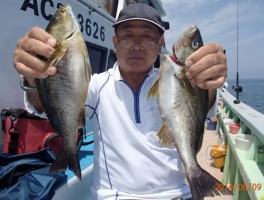 大山沖特産　ビッグサイズ　イサキ