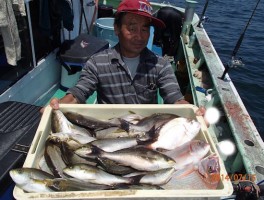 船中程の釣り座でがっちり釣りましたよ