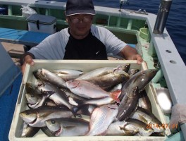 イサキたくさんプラスチダイもね