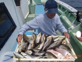 完璧に釣り放題状態