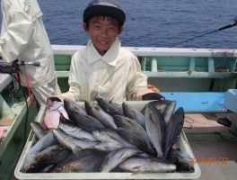 少年ファイター　かなりのドッサリイサキ釣果　本日のトップ賞ですよ