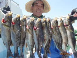 生田名人　本日もたくさん釣りましたね