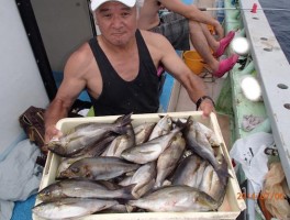 こちら様も山盛り御礼だ