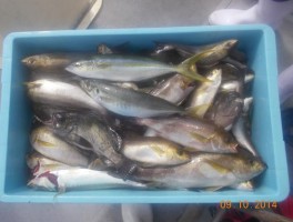 2014910195557.jpg