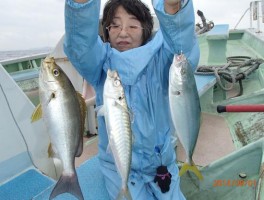 お母さんすごすぎです　一度に　大イサキ・大アジ・ハマチだ　