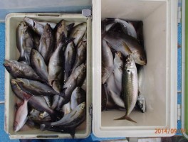 絶好釣