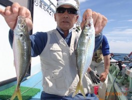 大アジもやっぱり大山沖産だ